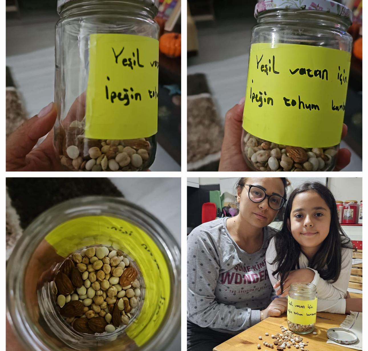 Veli Seminerleri ve Uygulamaları